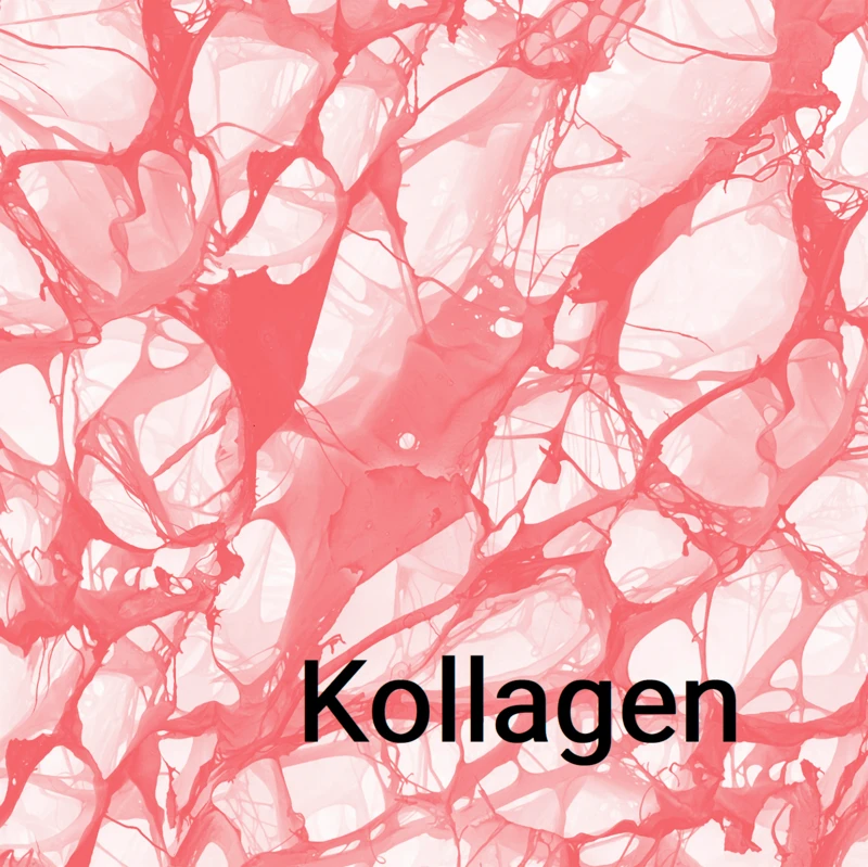 IMG-BLOG